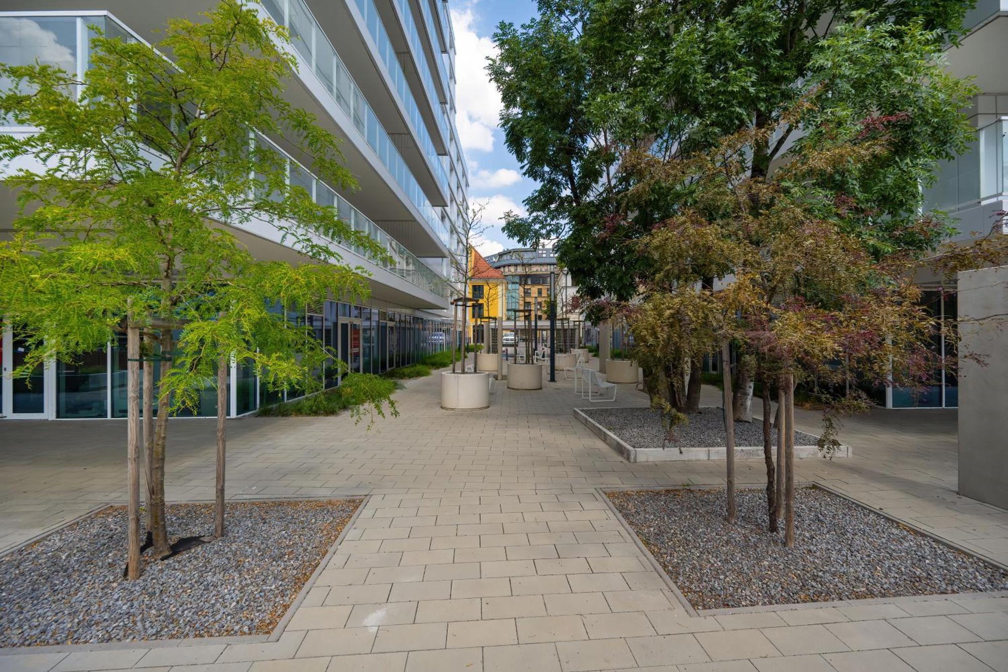Elegancki Apartament Z Parkingiem Blisko Starego Miasta By Noclegi Renters Wrocław Eksteriør bilde